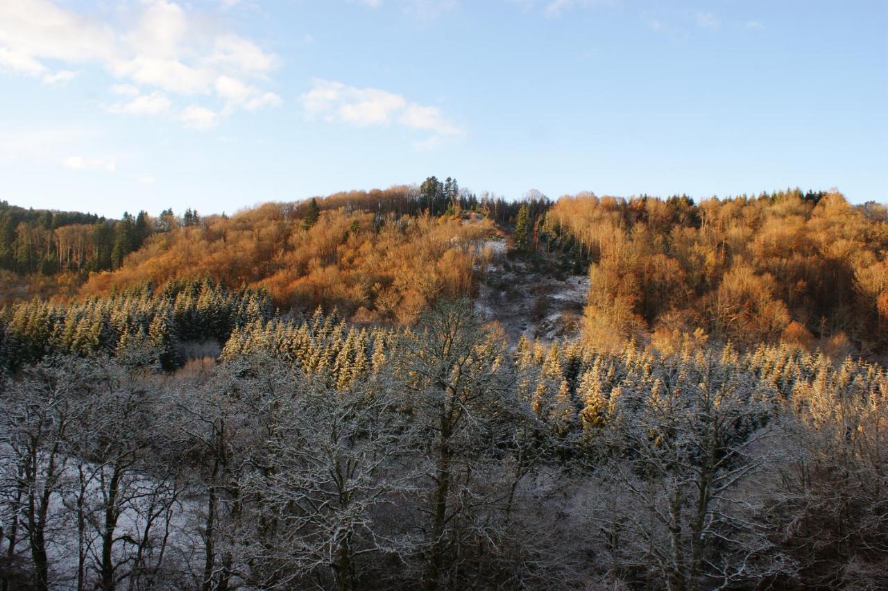 Le P'Tit Gite De Chomet La Tour-d'Auvergne Exterior photo